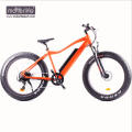 Bicicleta eléctrica Electro bike 8fun motor, 48V550W Venta caliente ebike